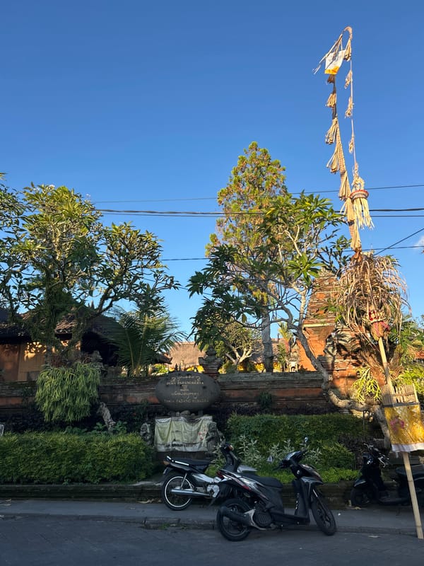 Browsing Ubud's streets: temples, market stalls, and café stops