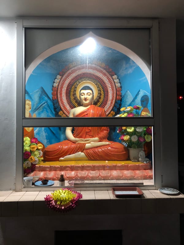 Buddha statues documented at Sri Lankan religious shrines