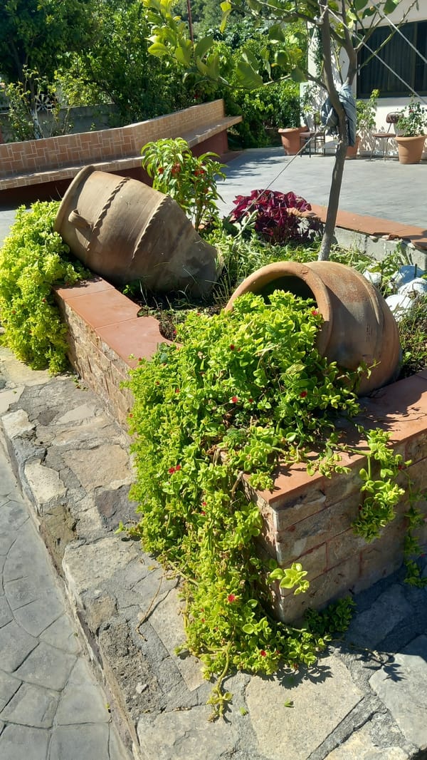 Platani village gardens and streets on a bright summer morning