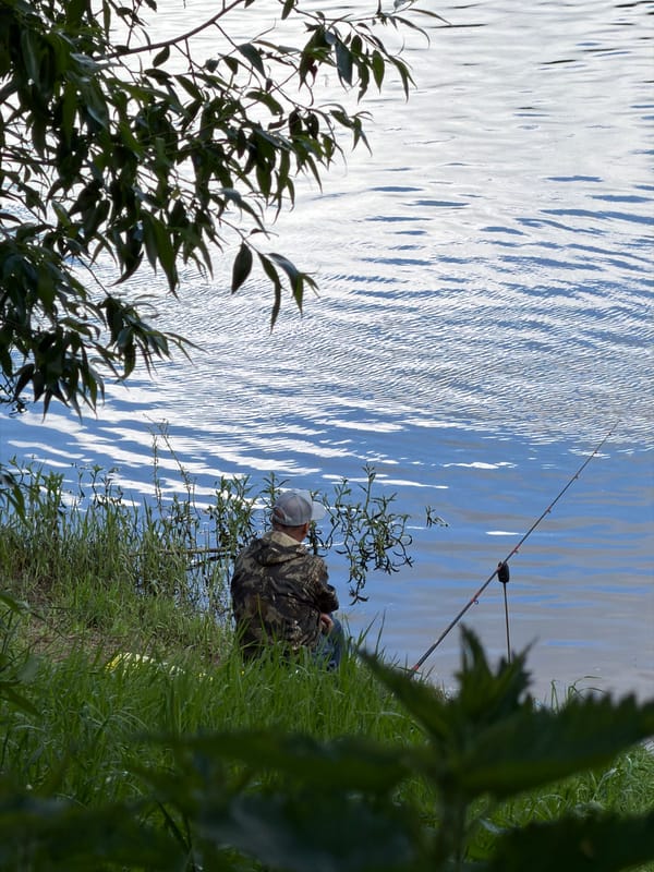 Friday morning outdoor activities captured across multiple locations