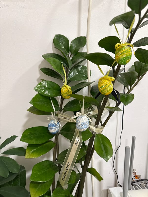 Dramatic orange sky photographed over Varna, Bulgaria