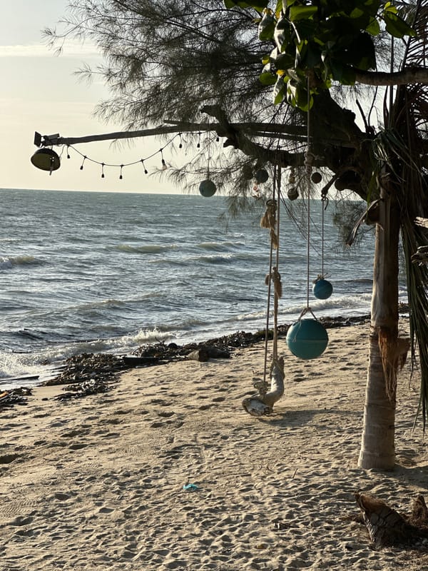 Quiet Ko Samui shoreline with palms, bamboo, and calm water