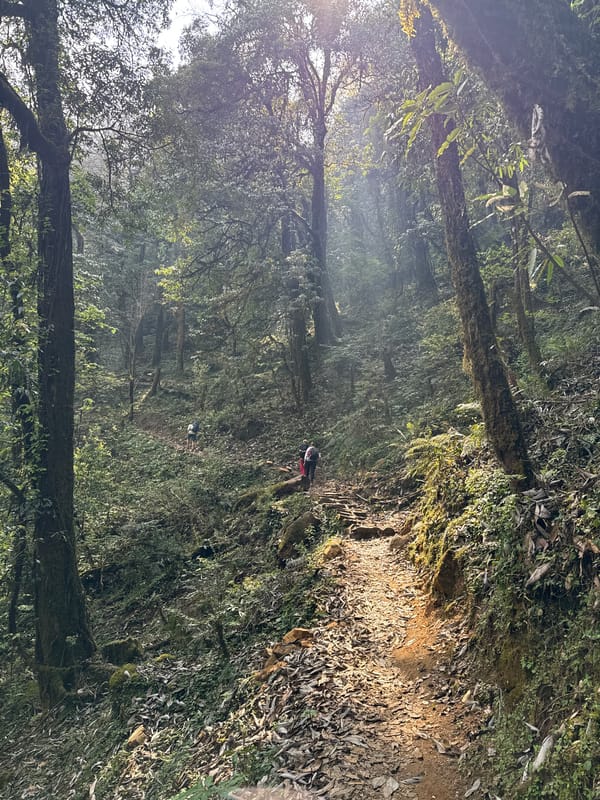 Person walks forest trail in Nepal village early morning