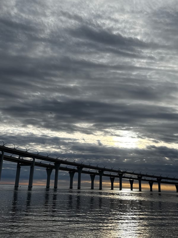 Sunset views of Saint Petersburg's WHSD bridge from the waterfront