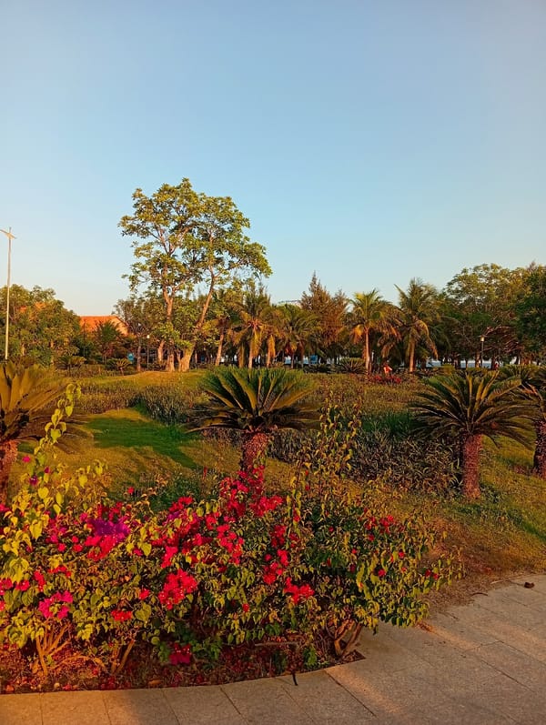 Golden hour lighting observed at Khánh Hải park, Vietnam