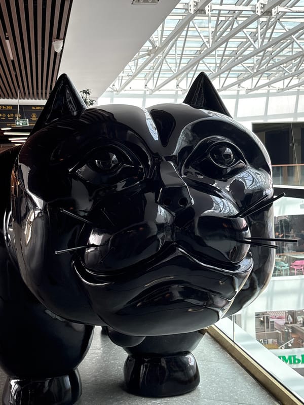 Saint Petersburg mall packed with bold, oversized art installations