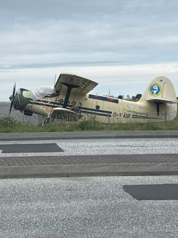 Random Reykjavik snapshots: planes, plants, and everyday objects