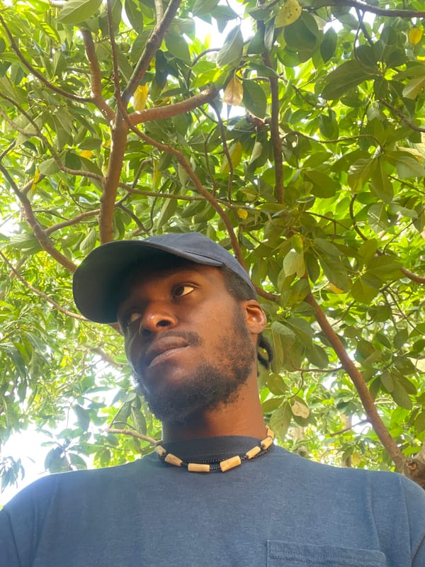 Man photographed in portrait session under trees in Jos