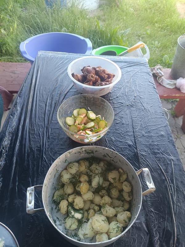 Outdoor meal setup with boiled potatoes in Stanislavka