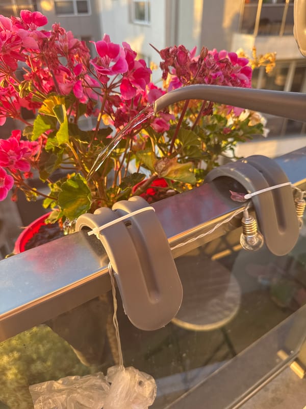 Balcony flowers and golden sunrise over a coastal city