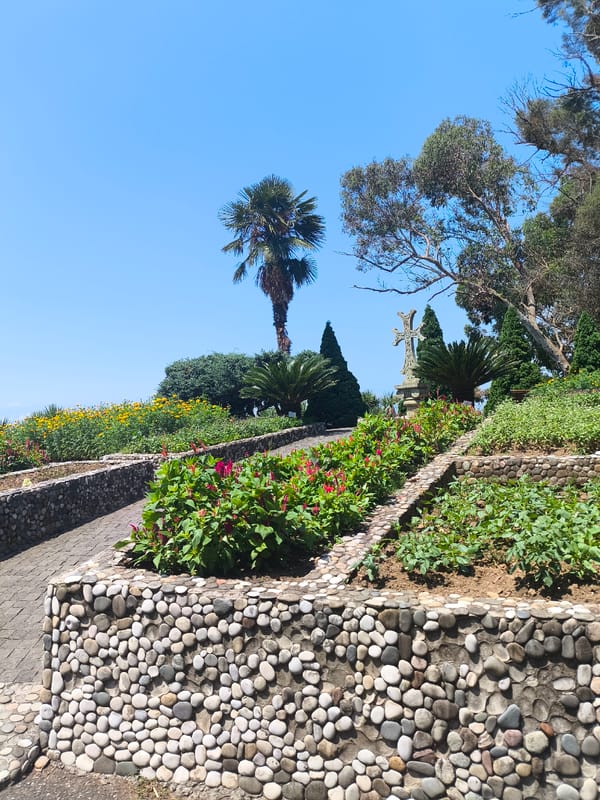 Lush garden paths and flowering terraces in Batumi