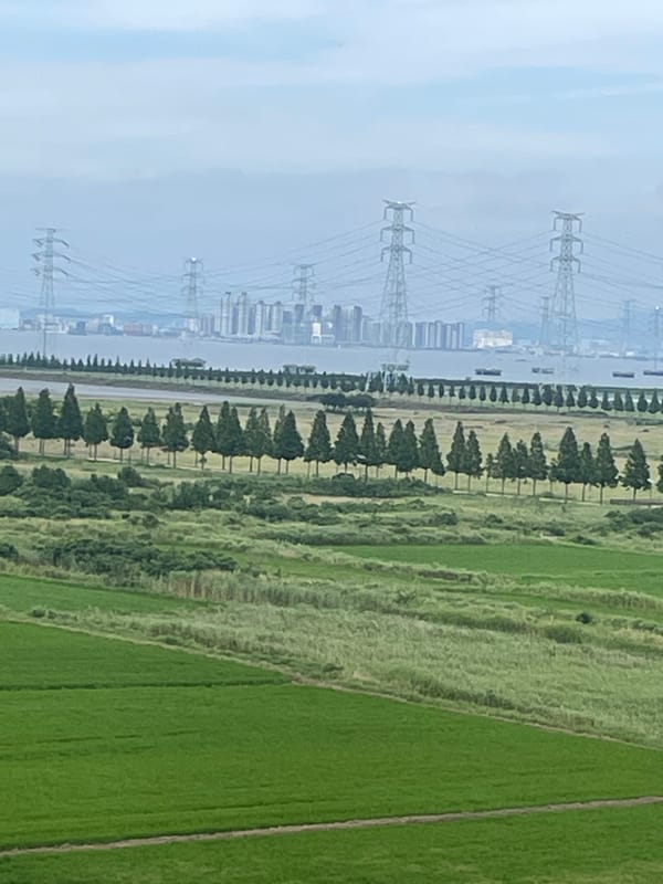 Live performances, gardens, and street life at an Ansan cultural plaza