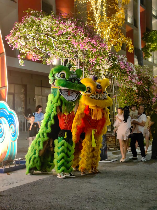 Lion Dance performers entertain crowds in Bai Chay Ward