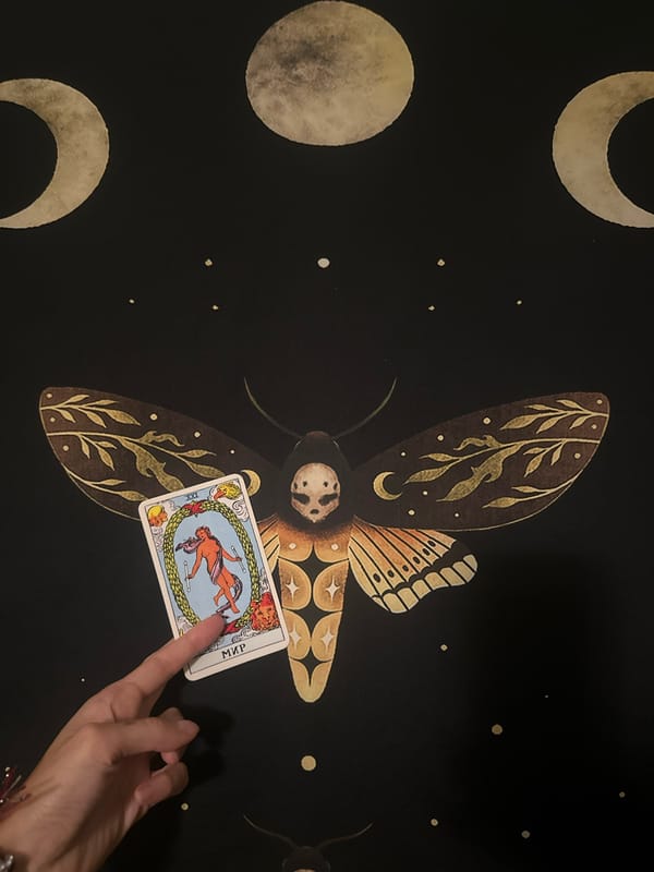 Tarot cards, a Sphynx cat, and pigeons in Togliatti