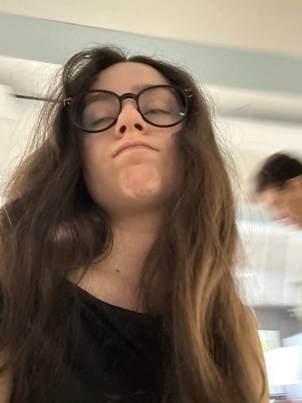 Morning office routine with cat interactions in Yerevan