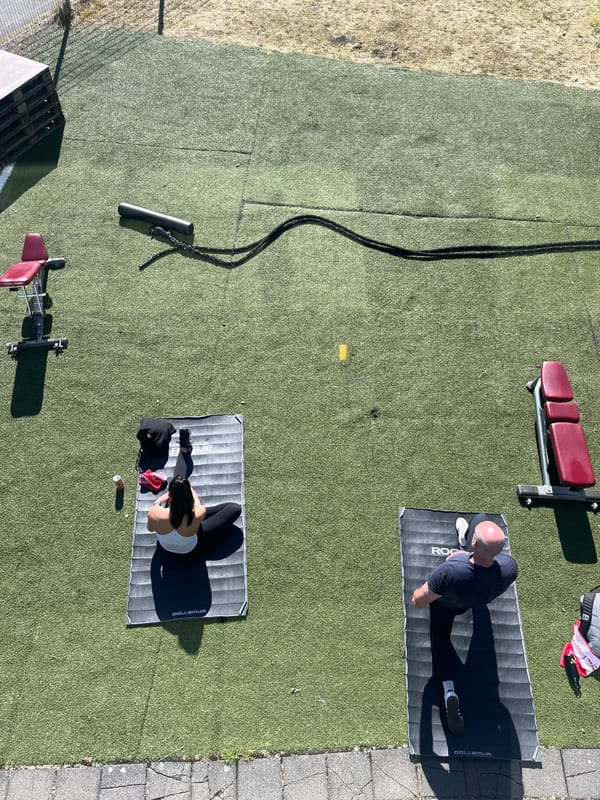 Outdoor yoga session observed in Reykjavik park setting