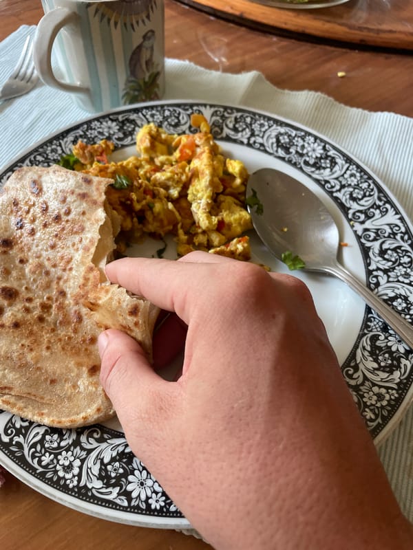 Morning domestic scenes: breakfast, sleeping dog, garden view