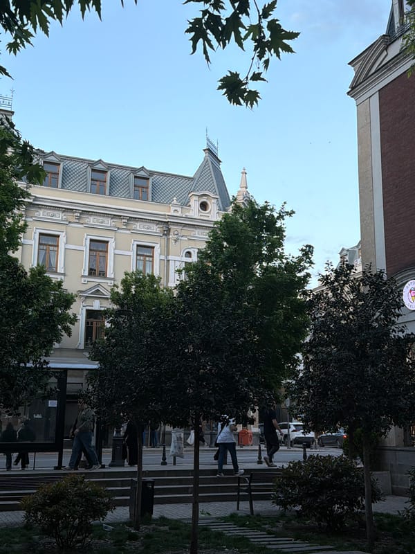 Witness captures Tbilisi street life, architecture, murals