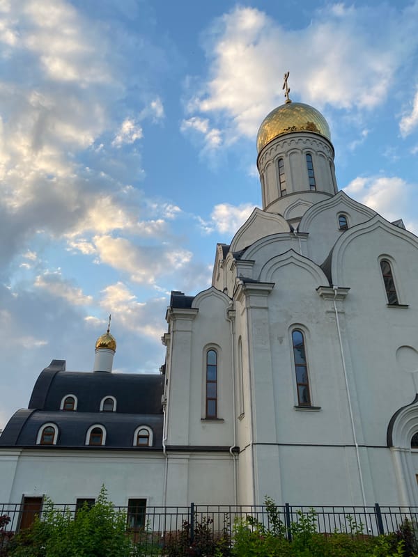 Dogs, domes, and modern towers on a Kudrovo evening
