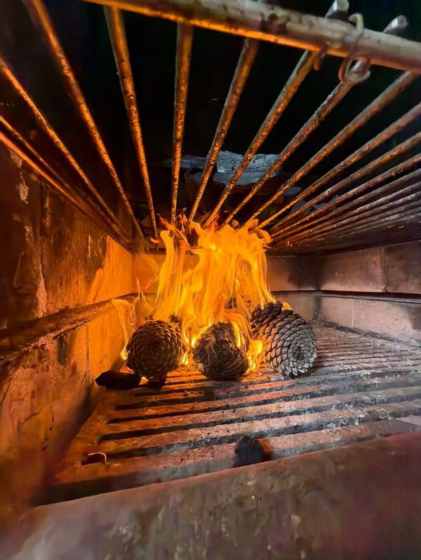 Afternoon barbecue gathering with dog documented in Vila Real