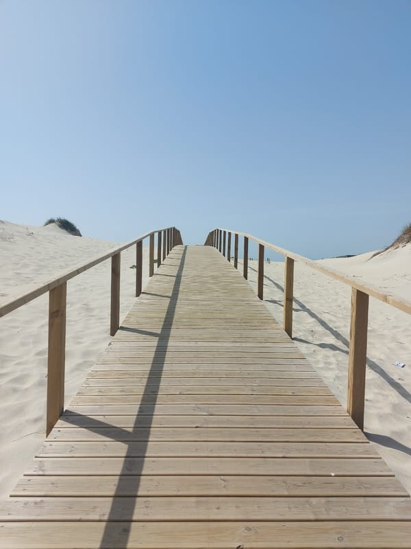 Casual beach visit documented in Gafanha da Nazaré, Portugal