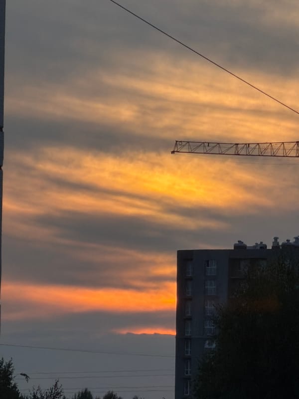 Sunset in Chaikovsky: cranes, tea, and flowers at dusk