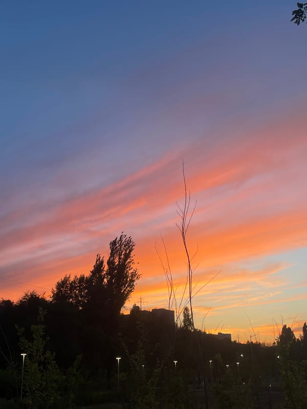 Almaty's golden hour across parks, waterways, and city streets