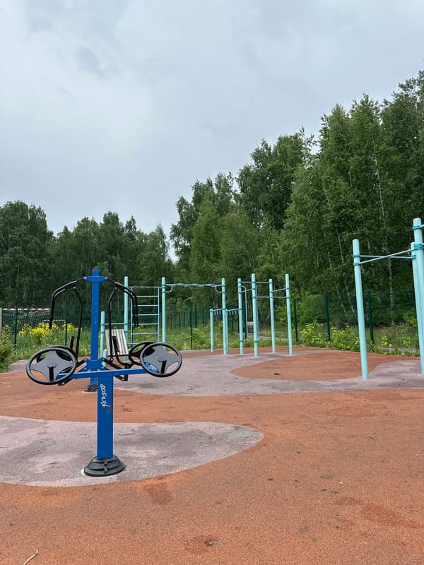Morning walk through overcast waterfront park captures wildlife, fitness areas