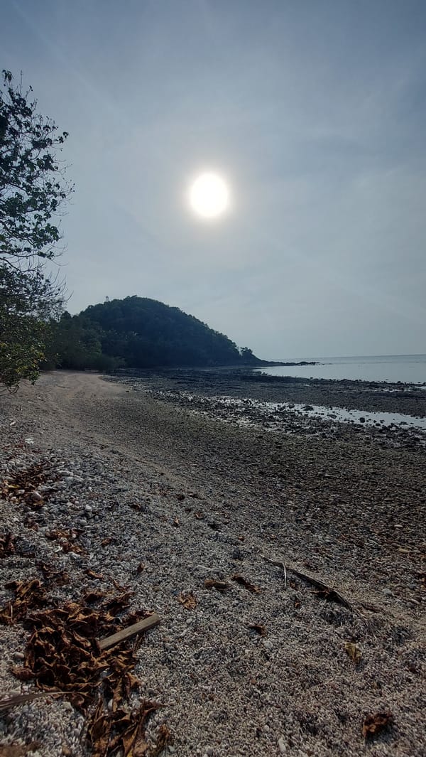 Coastal observer documents pebbled beach with scattered leaves