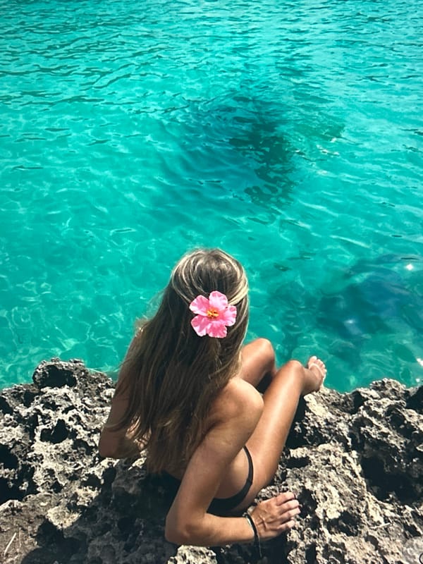 Coastal scene with turquoise waters and historic buildings documented