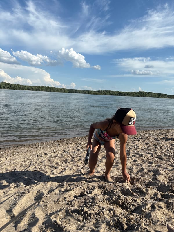 Dogs and people hanging out on a calm riverside beach