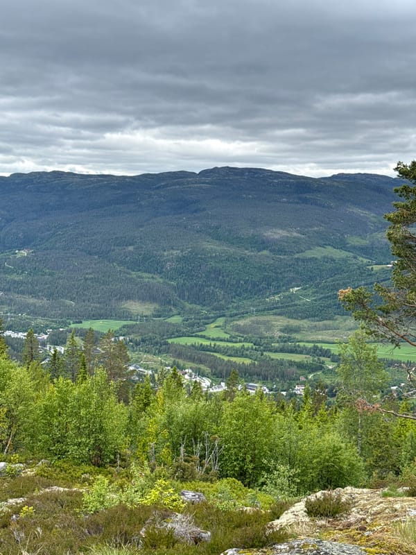 Morning exploration of Eggedal valley streams and mountain views