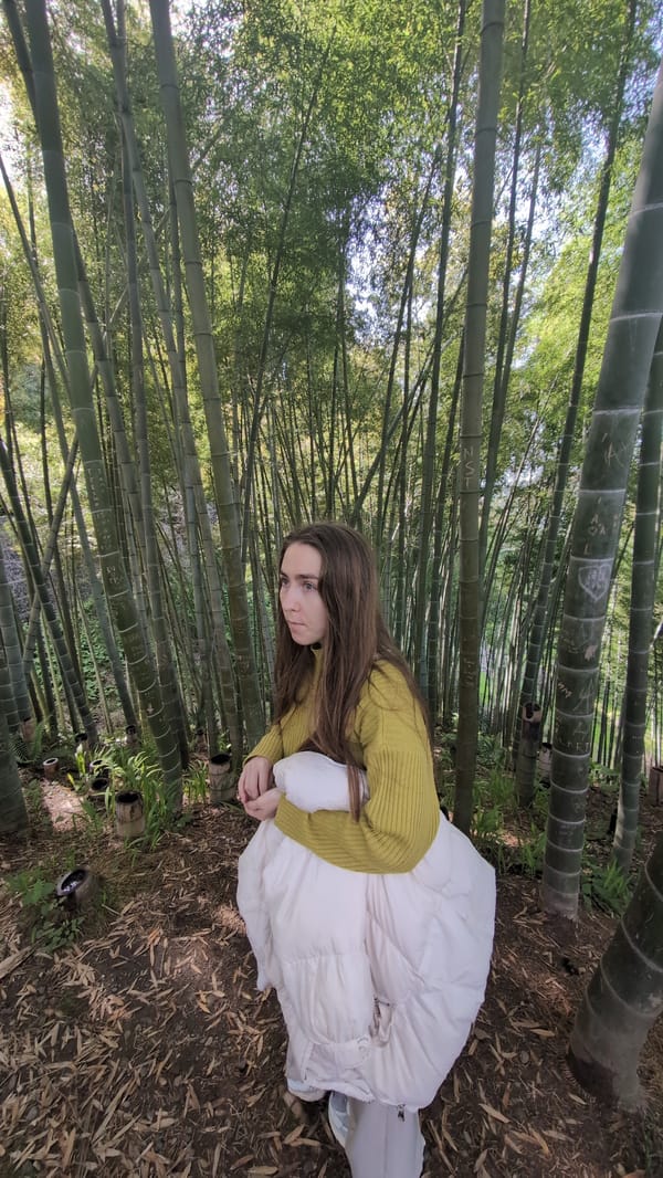 Woman photographed visiting bamboo grove in Batumi park