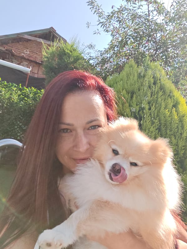 Cats and a Pomeranian spotted in a Bankya home