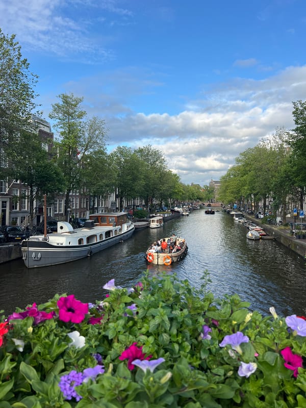 Colorful petunias frame a quiet Amsterdam canal scene