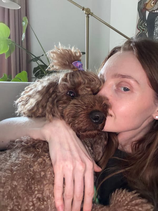 Woman enjoys quiet afternoon at home with poodle and cat