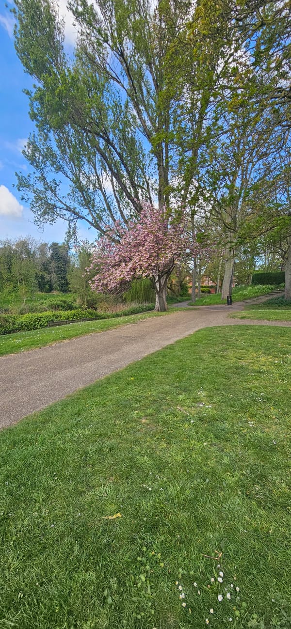 Spring day documented across Norwich parks and streets