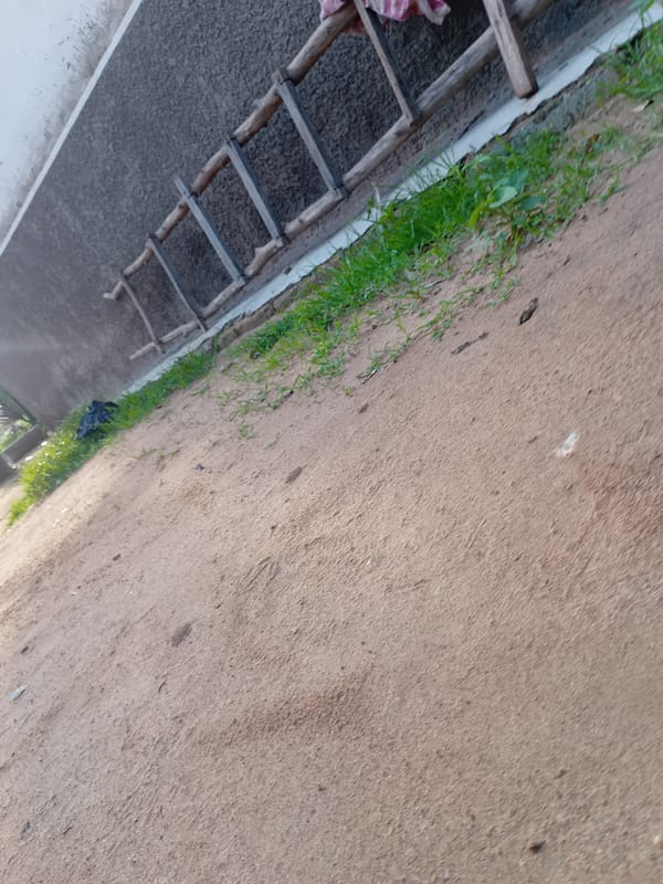 Witness documents rural area scenes over hour-long period