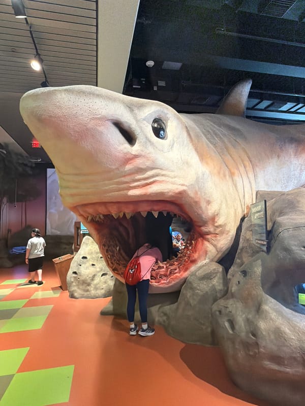 Afternoon at Fort Lauderdale's Museum of Discovery and Science