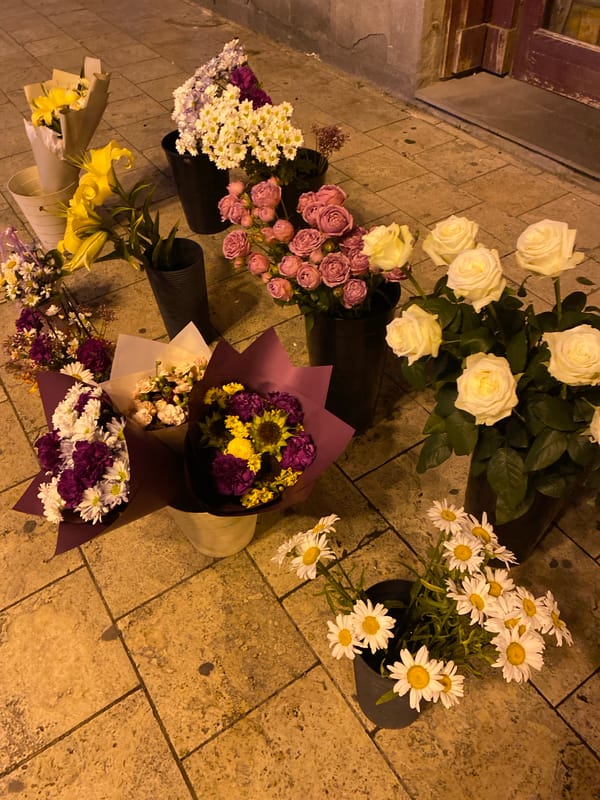 Evening stroll through Tbilisi: streets, arcades, and odd finds