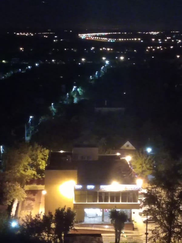 Lit storefront building at night, trees in foreground