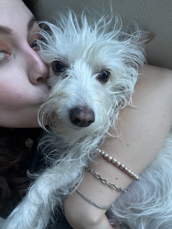 Woman bonds with small white dog in Mexican town