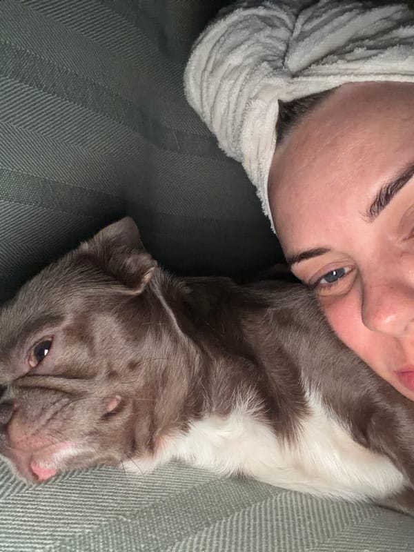 Woman and Chihuahua share quiet evening at Votkinsk home