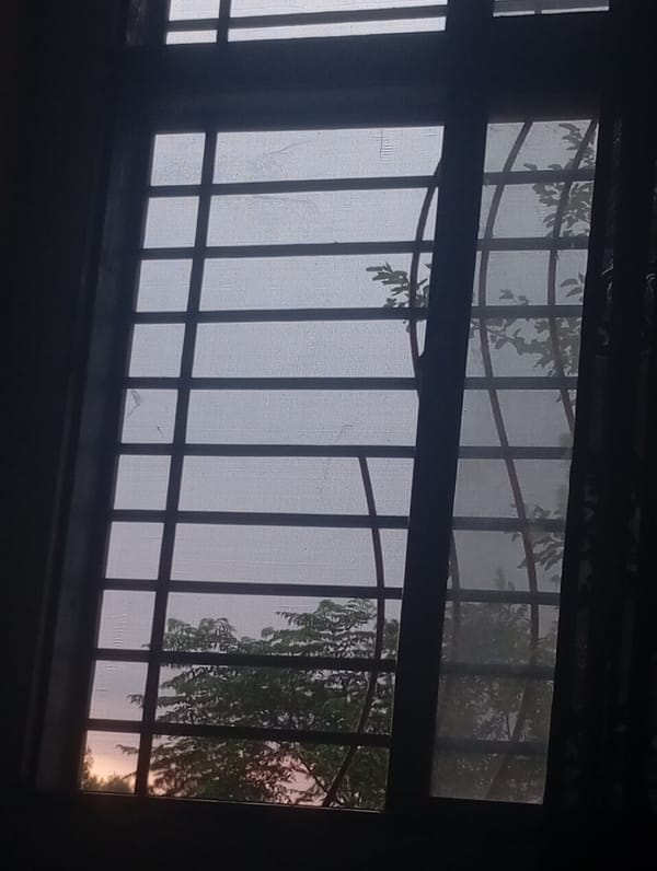Storm clouds and sunbreaks over a tree-lined horizon