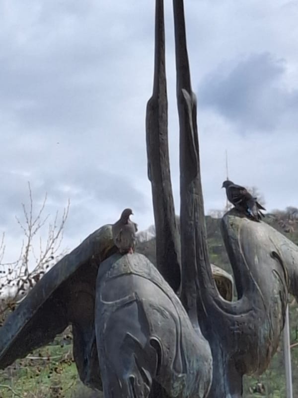 Morning stroll through Plovdiv's bronze bird sculpture park captured