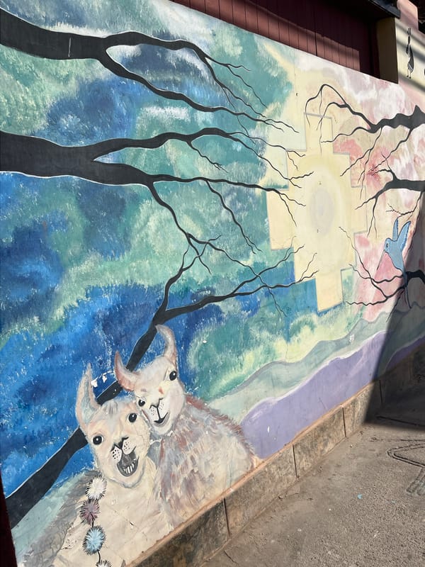 Everyday moments captured in Arica: street mural, kitten handling