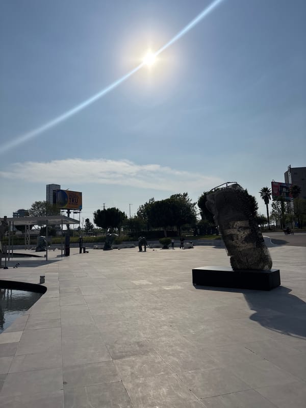 Wire head sculpture spotted in Mexican town