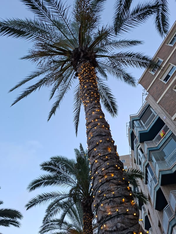 A summer evening in Torrevieja, street life to harbor
