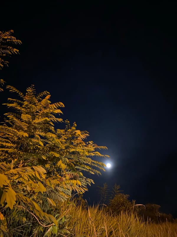 Full moon rises over Lhokseumawe on a clear July night