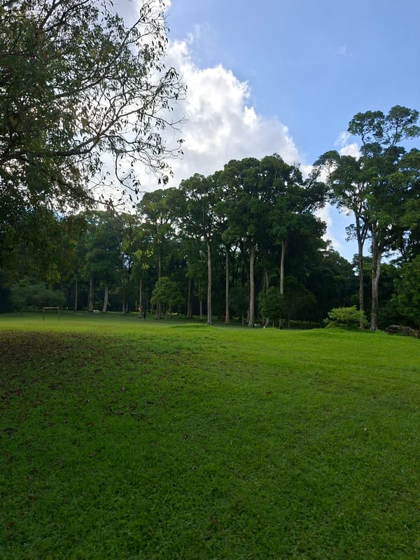 Morning stroll documented through Baturiti gardens and recreational spaces